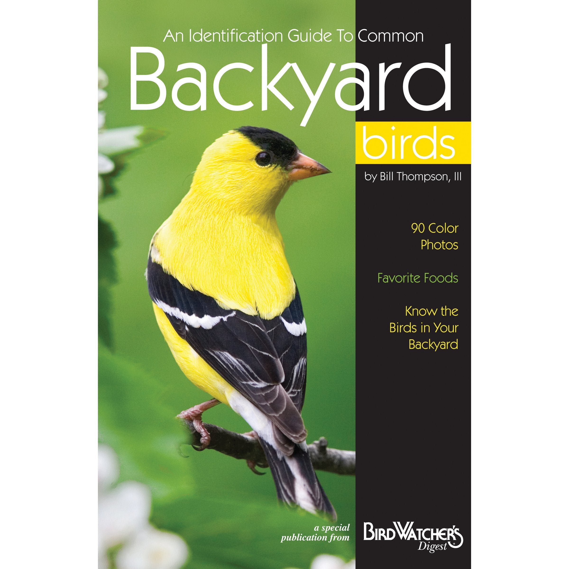 Identification Guide to Common Backyard Birds: A Special Publication from Bird Watcher's Digest Books