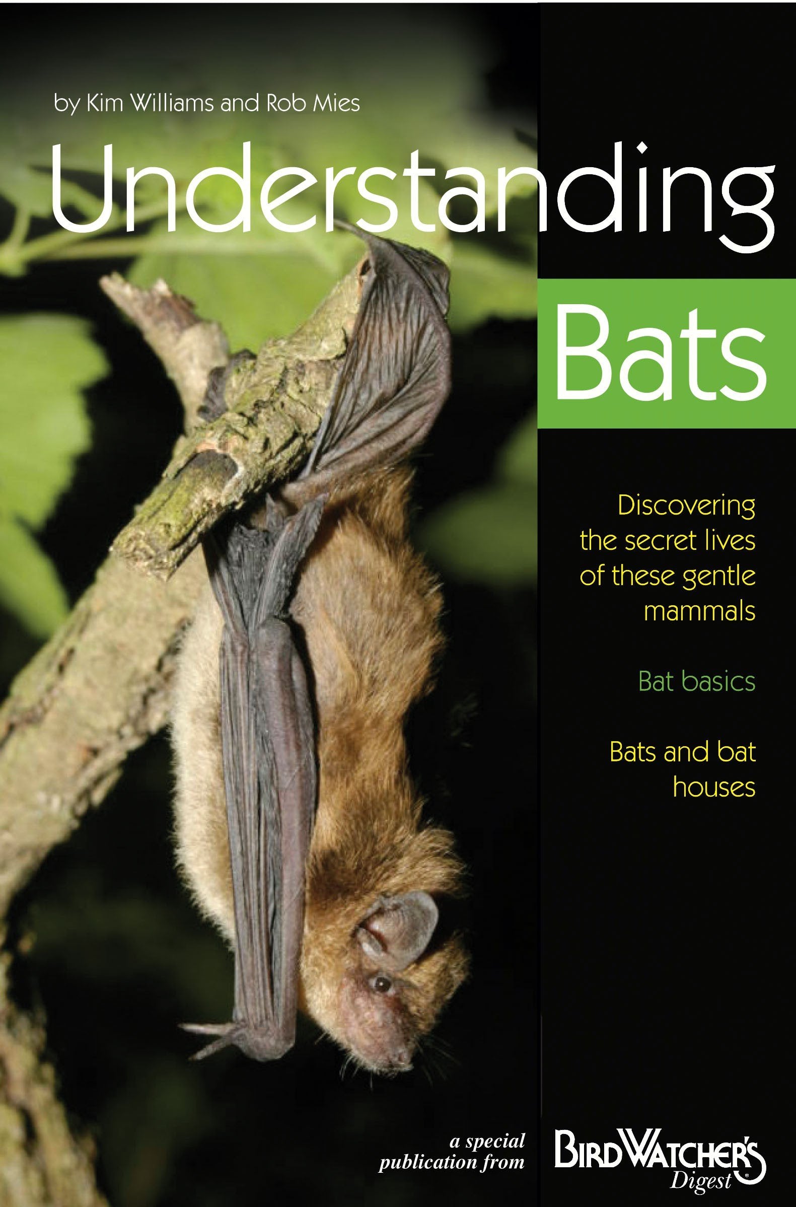 Understanding Bats: Discovering the Secret Lives of These Gentle Mammals Mathematics