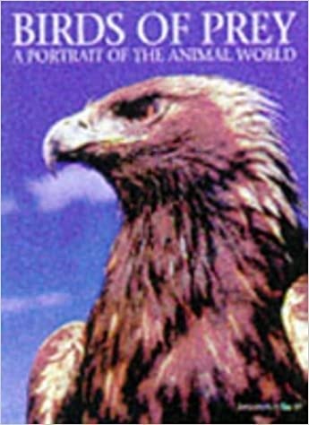 Birds of Prey (A Portrait of the Animal World S.) Mathematics