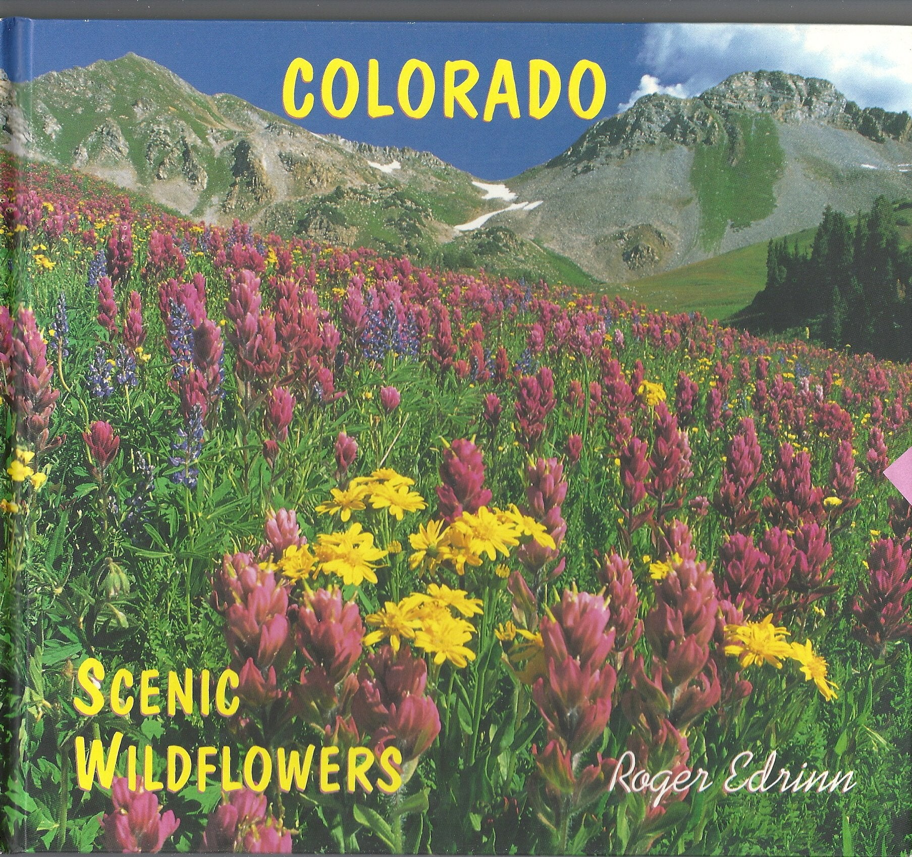 Colorado: Scenic Wildflowers Books