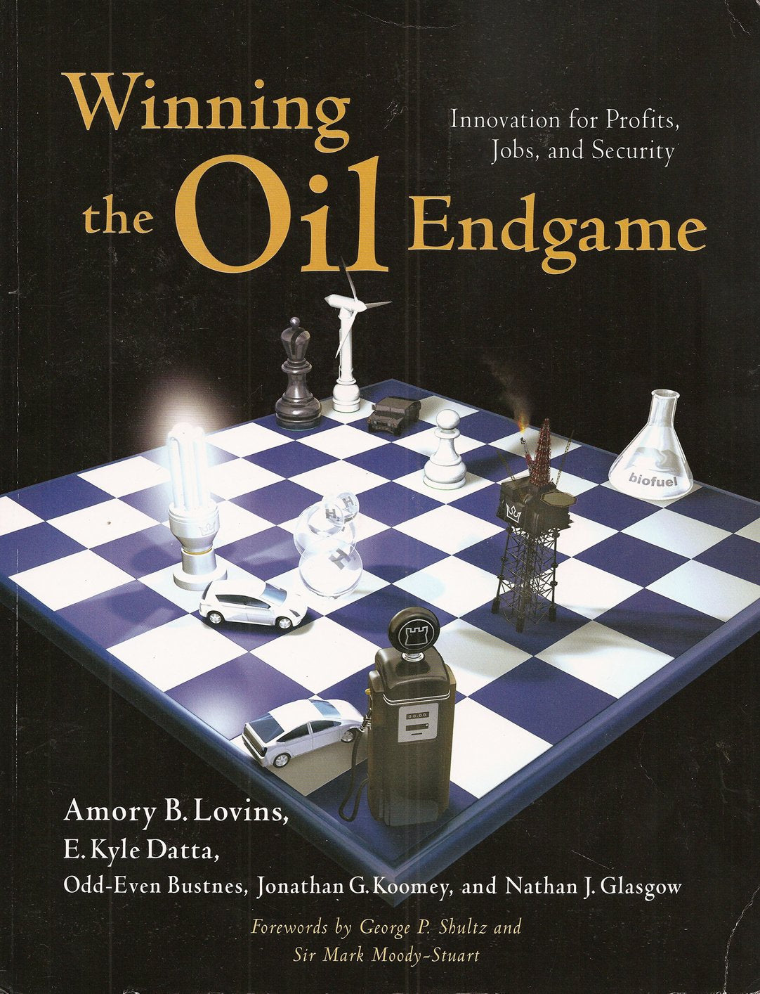 Winning the Oil Endgame book