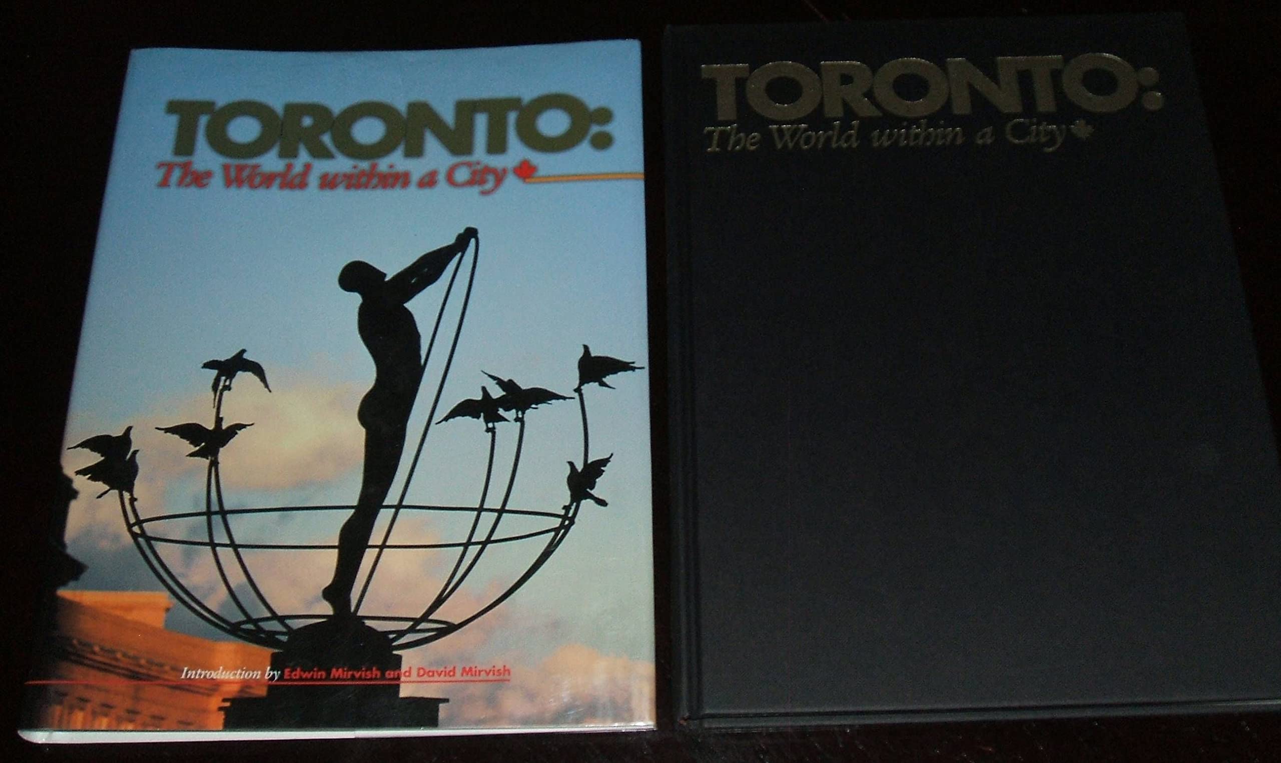 Toronto: The World Within a City (Urban Tapestry Series) Politics & History