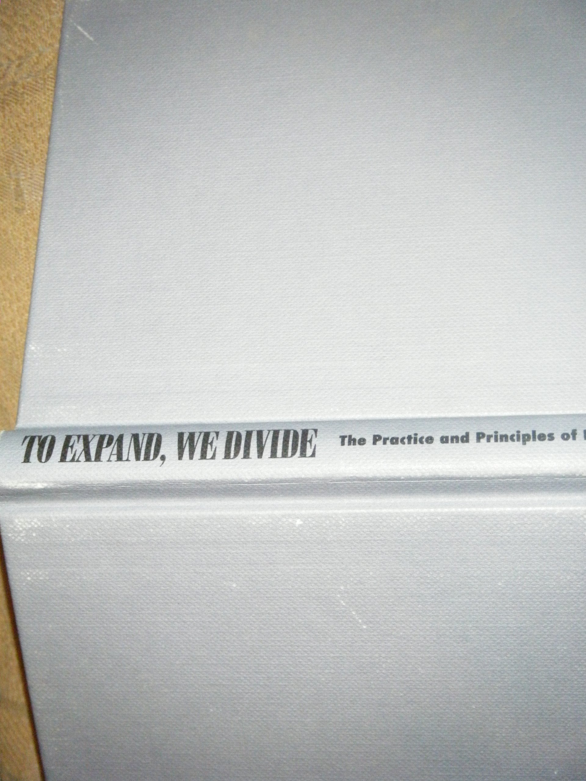 To Expand We Divide: The Practice and Principles of Bunsha Management book