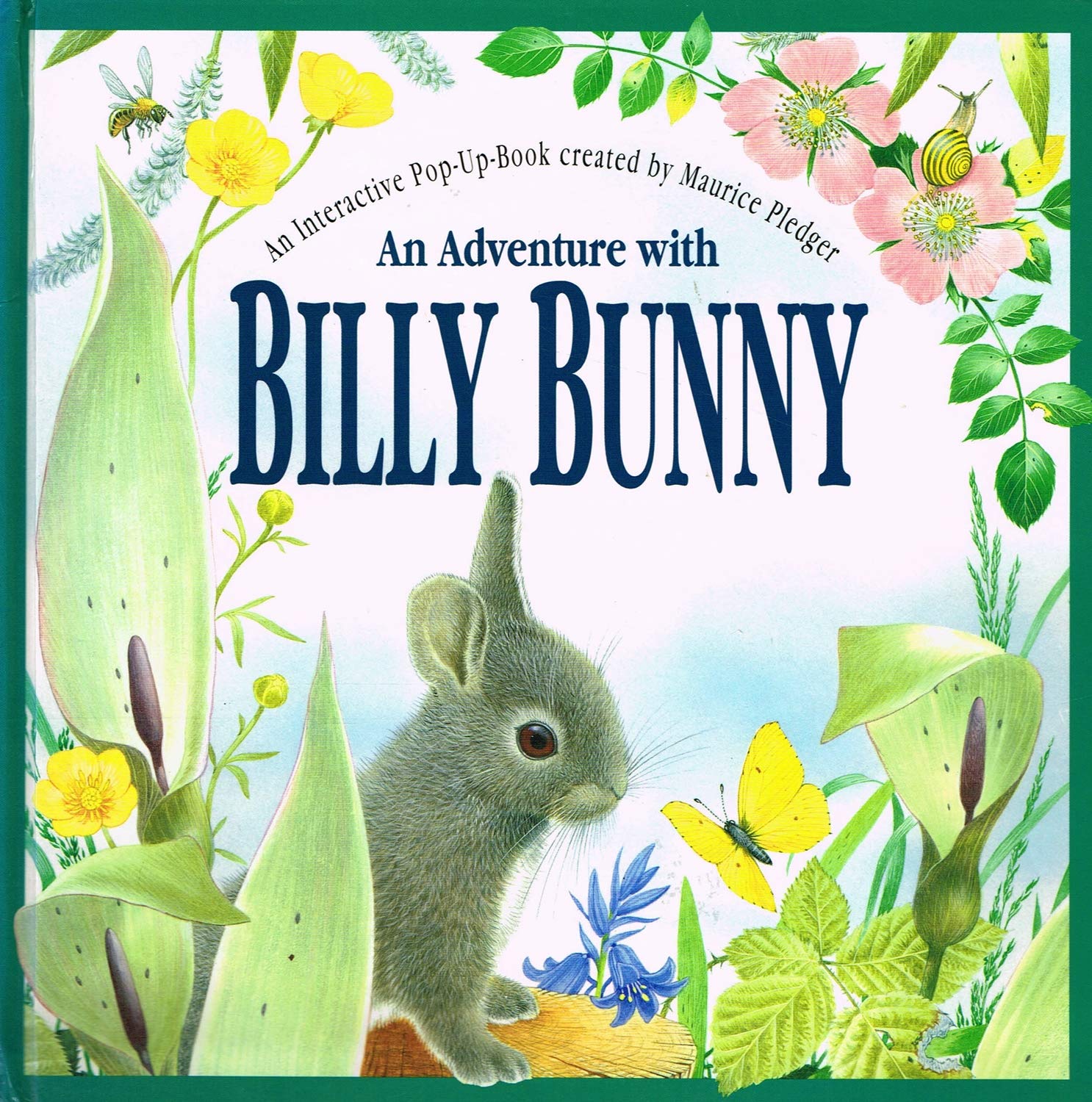 An Adventure With Billy Bunny: Peek-and-Find Books