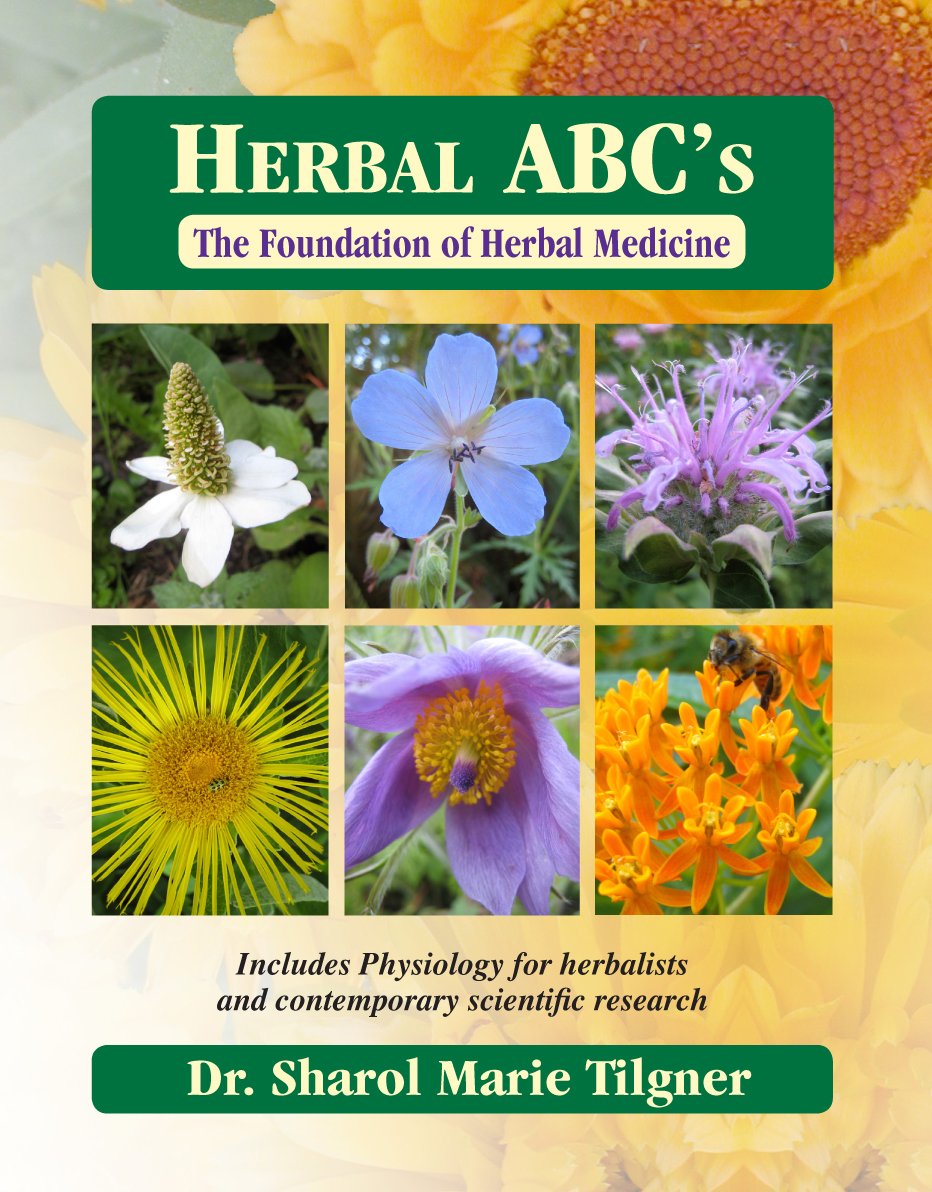 Herbal ABC's The Foundation of Herbal Medicine book