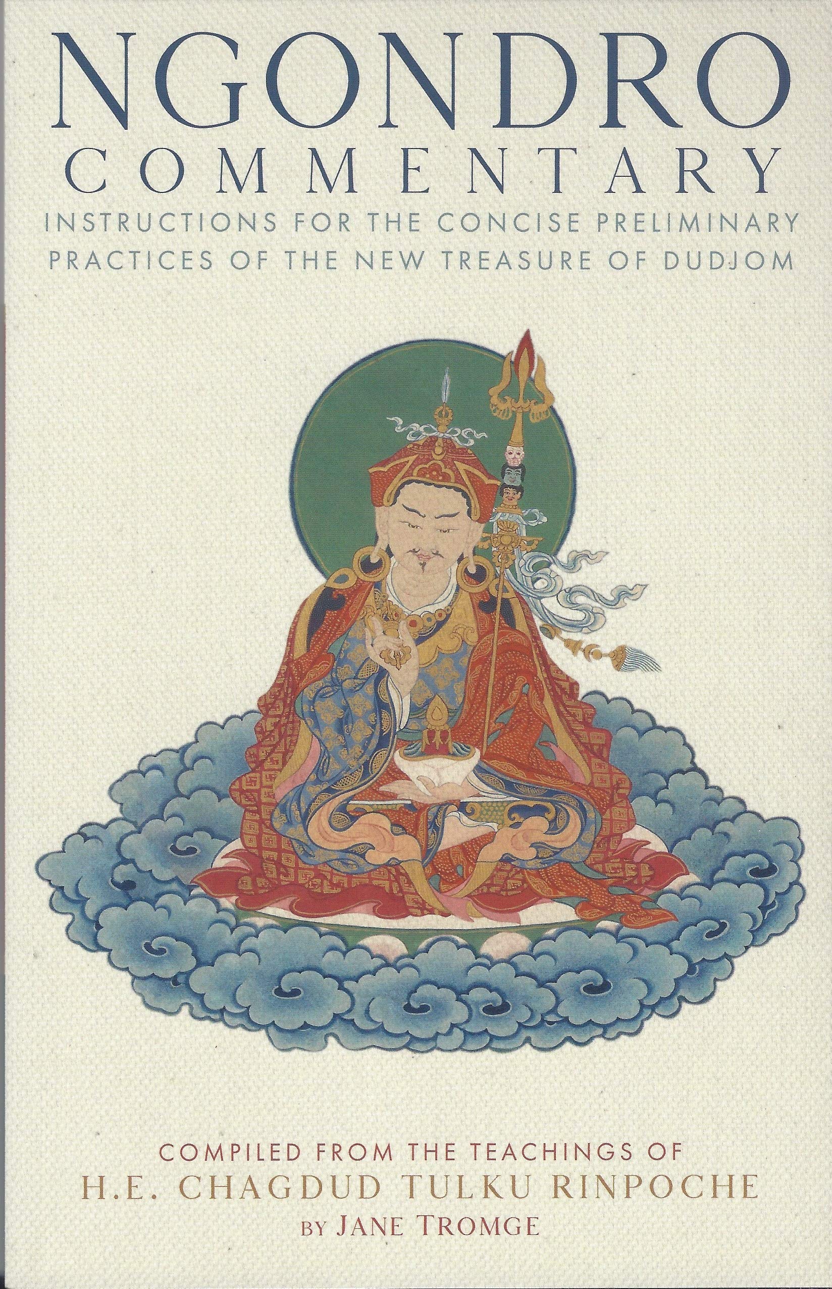 Ngondro Commentary: Instructions for the Concise Preliminary Practices of the New Treasure of Dudjom book