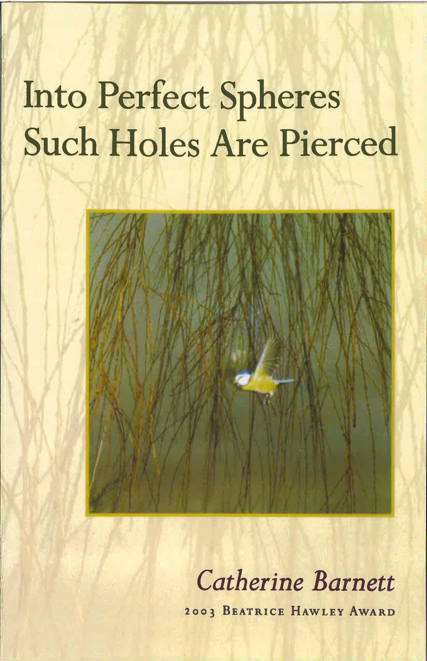 Into Perfect Spheres Such Holes Are Pierced Poetry