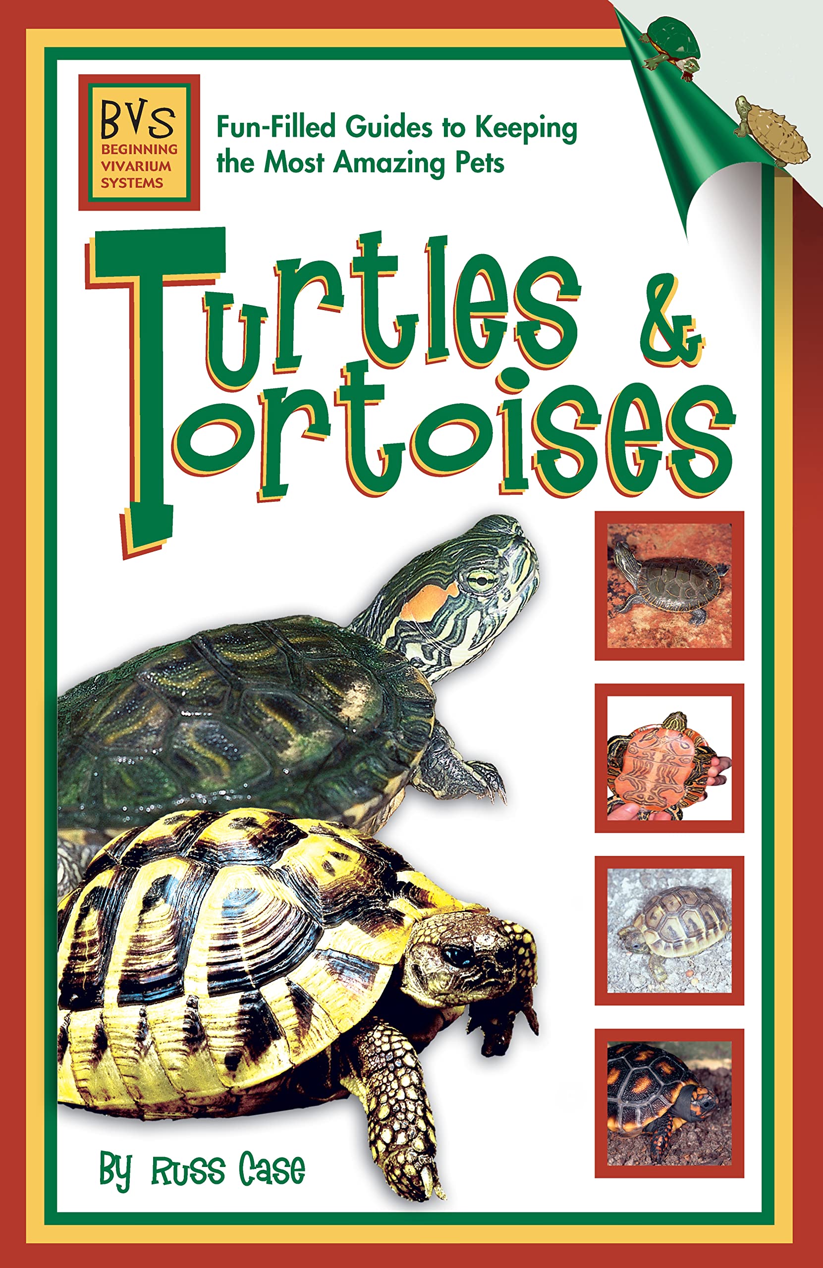 Turtles and Tortoises [With Stickers] book