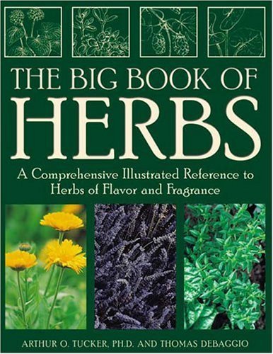 The Big Book of Herbs: A Comprehensive Illustrated Reference to Herbs of Flavor and Fragrance: A Comprehensive Illustrated Reference to Herbs of Flavour and Fragrance Garden & Plants