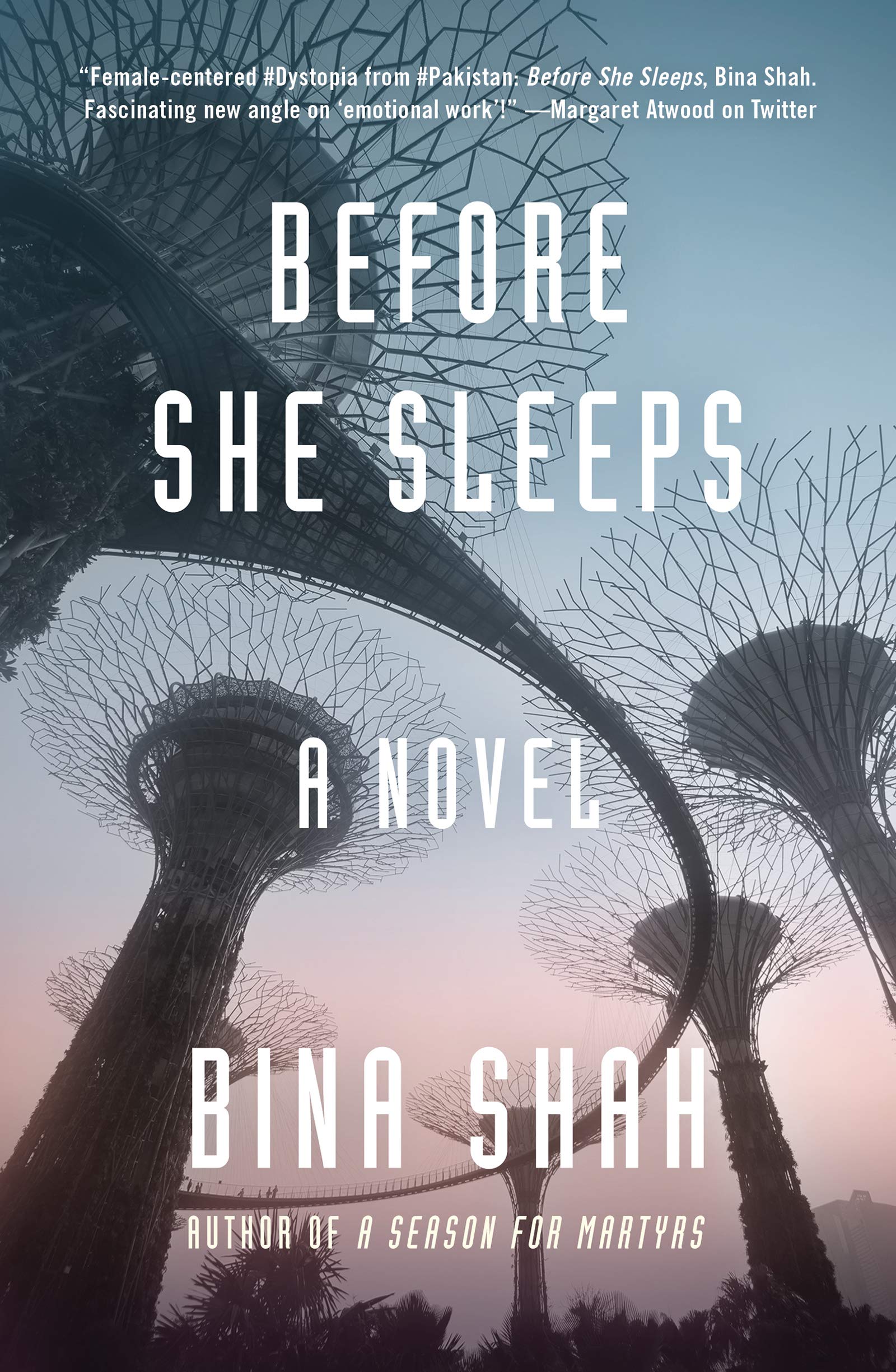 Before She Sleeps Historical Fiction