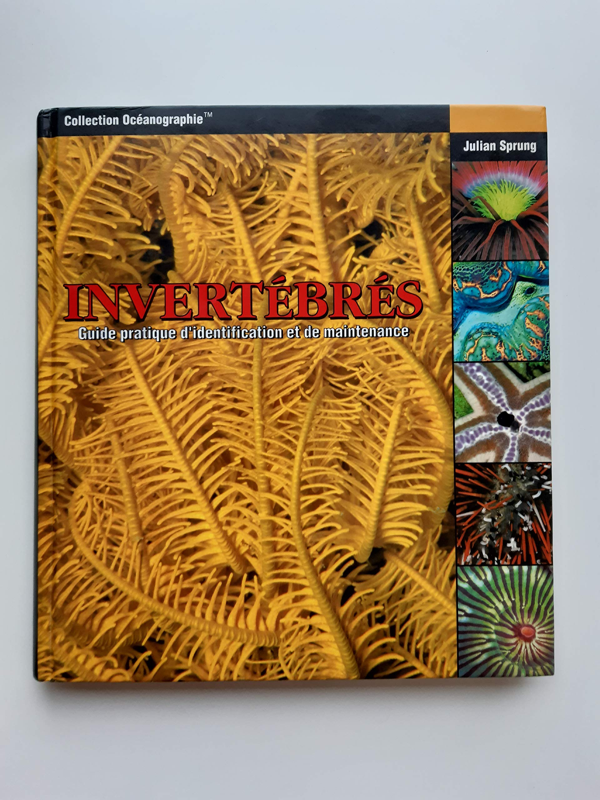 Invertébrés (Guide pratique d'identification et de maintenance) Books