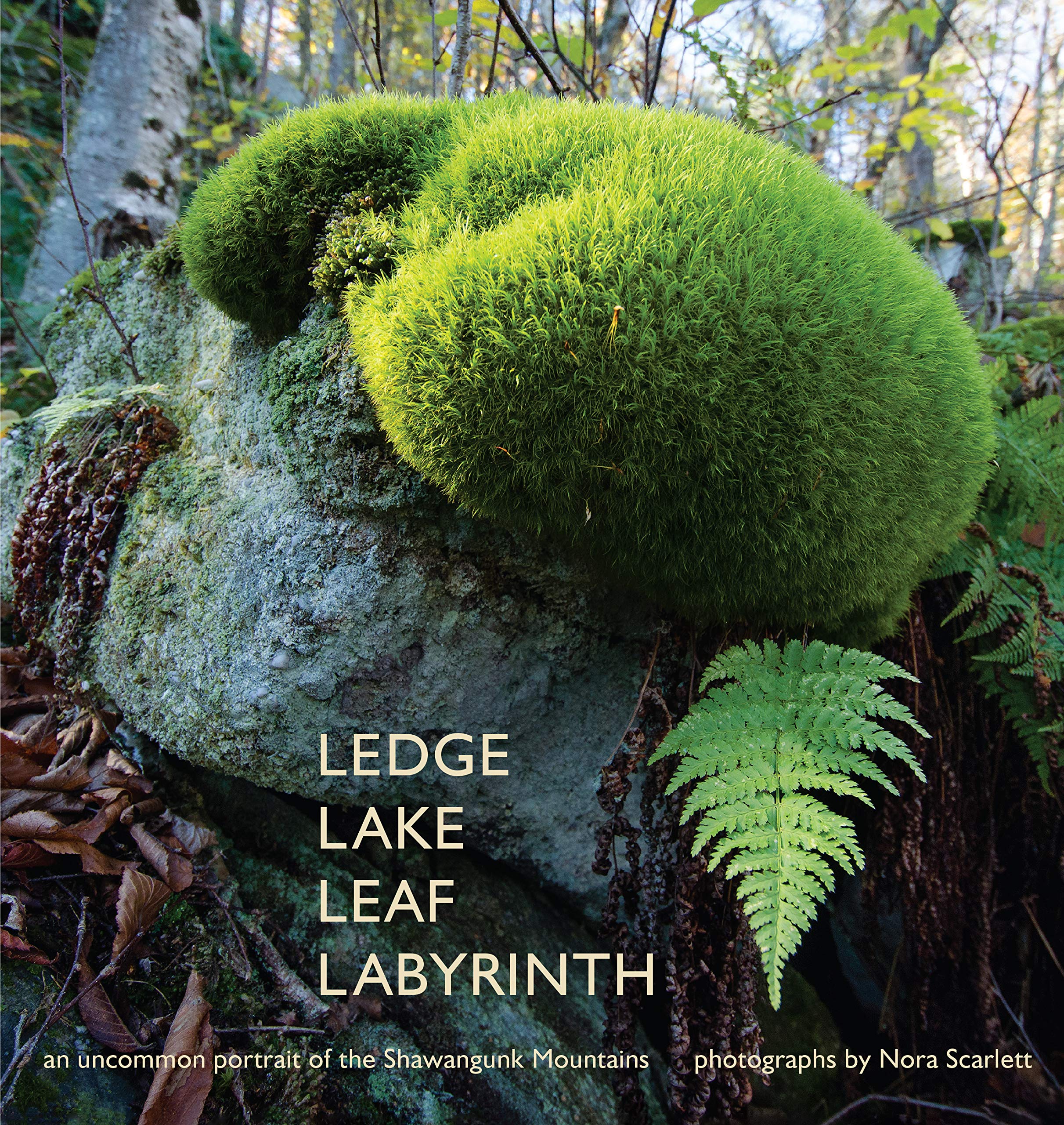 Ledge Lake Leaf Labyrinth; an uncommon portrait of the Shawangunk Mountains Books
