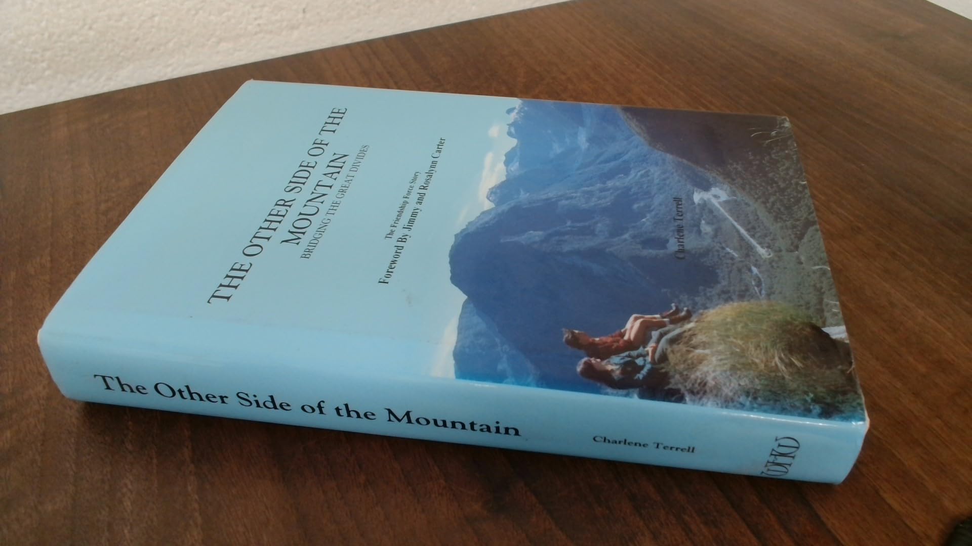 The Other Side of the Mountain : Bridging the Great Divides book