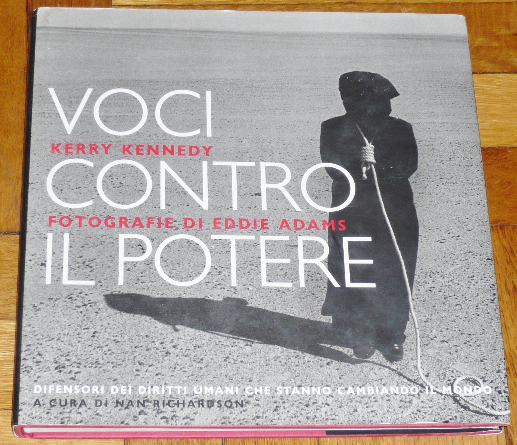 Voci contro il potere. Difensori dei diritti uman book