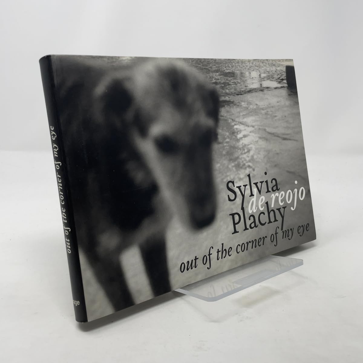 Out of the Corner of My Eye book