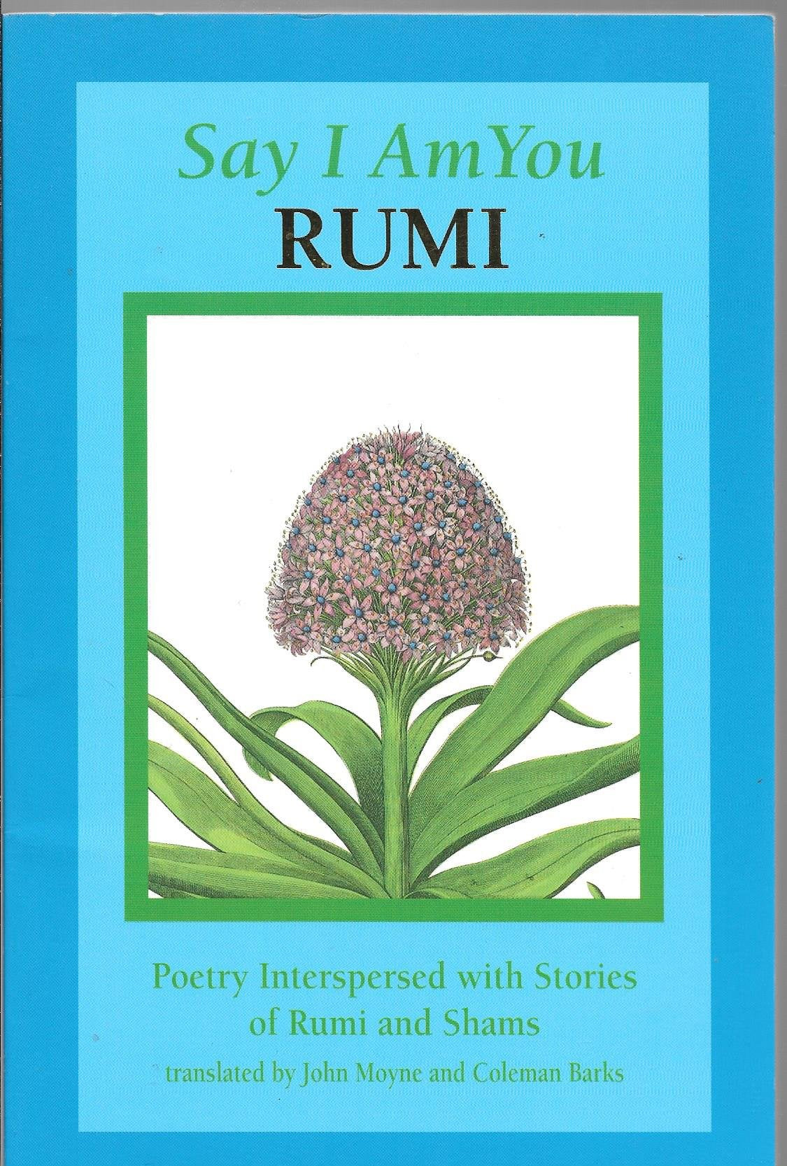 Say I Am You: Poetry Interspersed With Stories of Rumi and Shams Contemporary literature Books