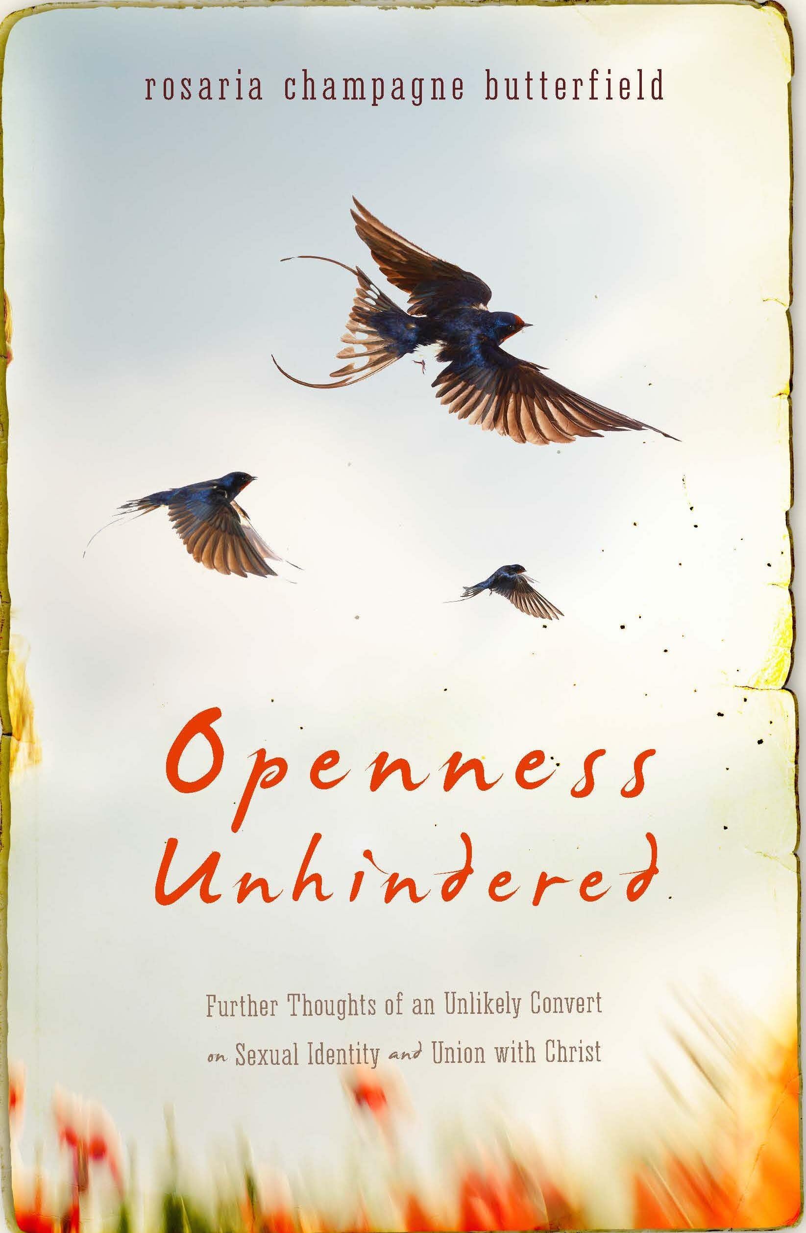 Openness Unhindered: Further Thoughts of an Unlikely Convert on Sexual Identity and Union with Christ Books