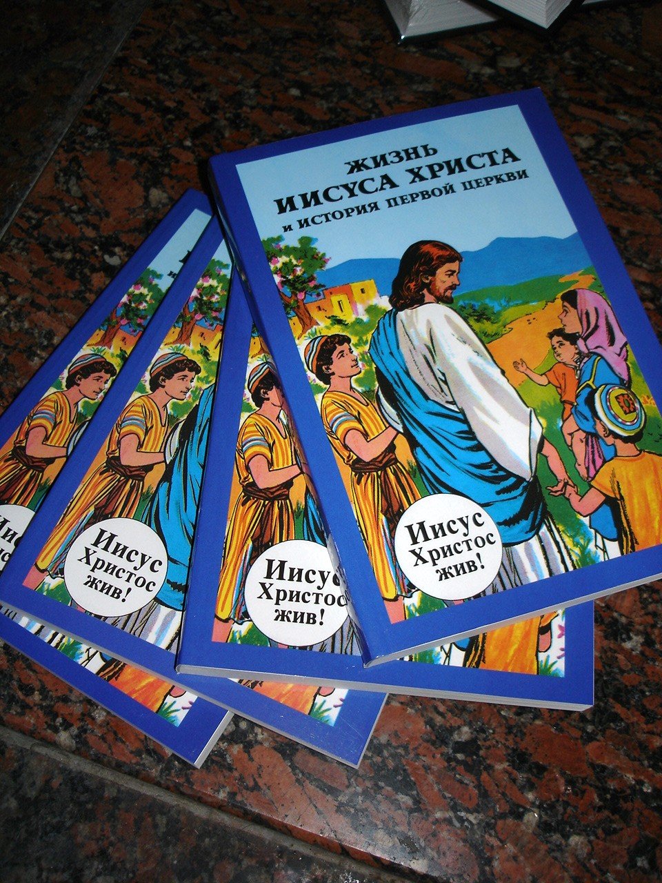 Title: The Life of Jesus Russian Book Comick Book book
