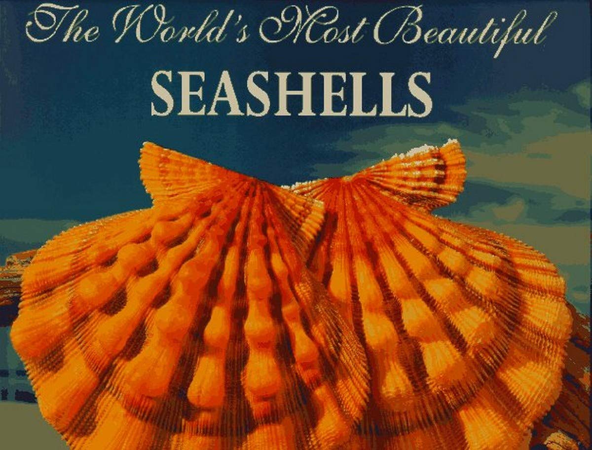 The World's Most Beautiful Seashells (Worlds Most Series) Mathematics