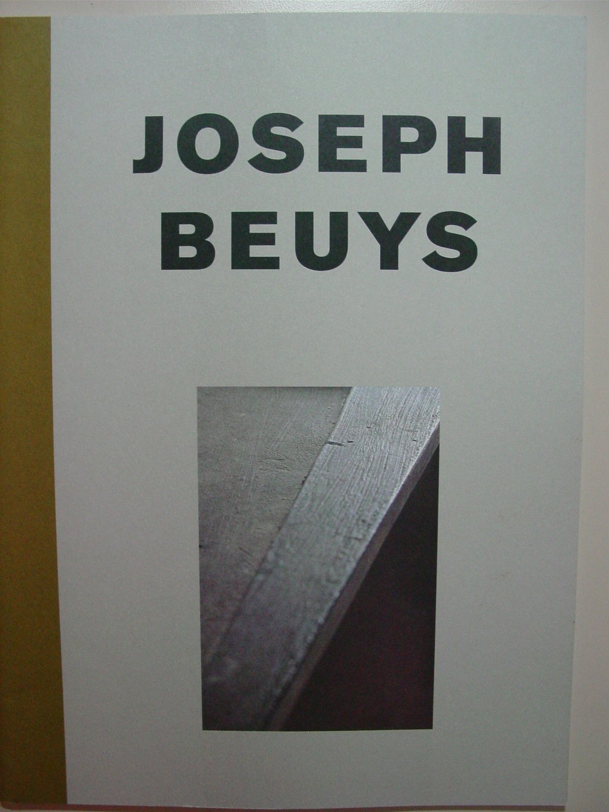 joseph-beuys--doppelaggregat--bergk--nig Books