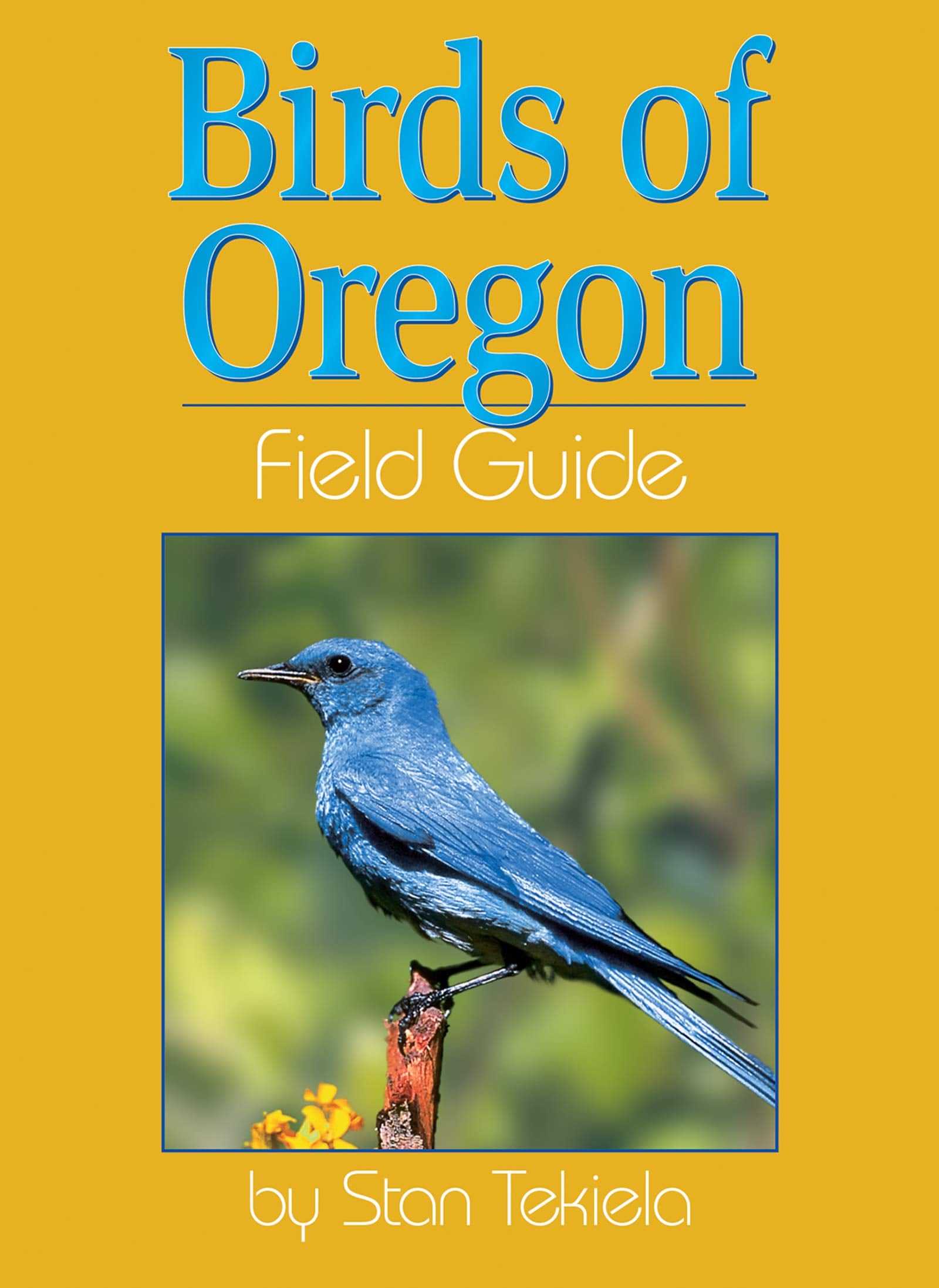 Birds of Oregon Field Guide (Bird Identification Guides) Mathematics