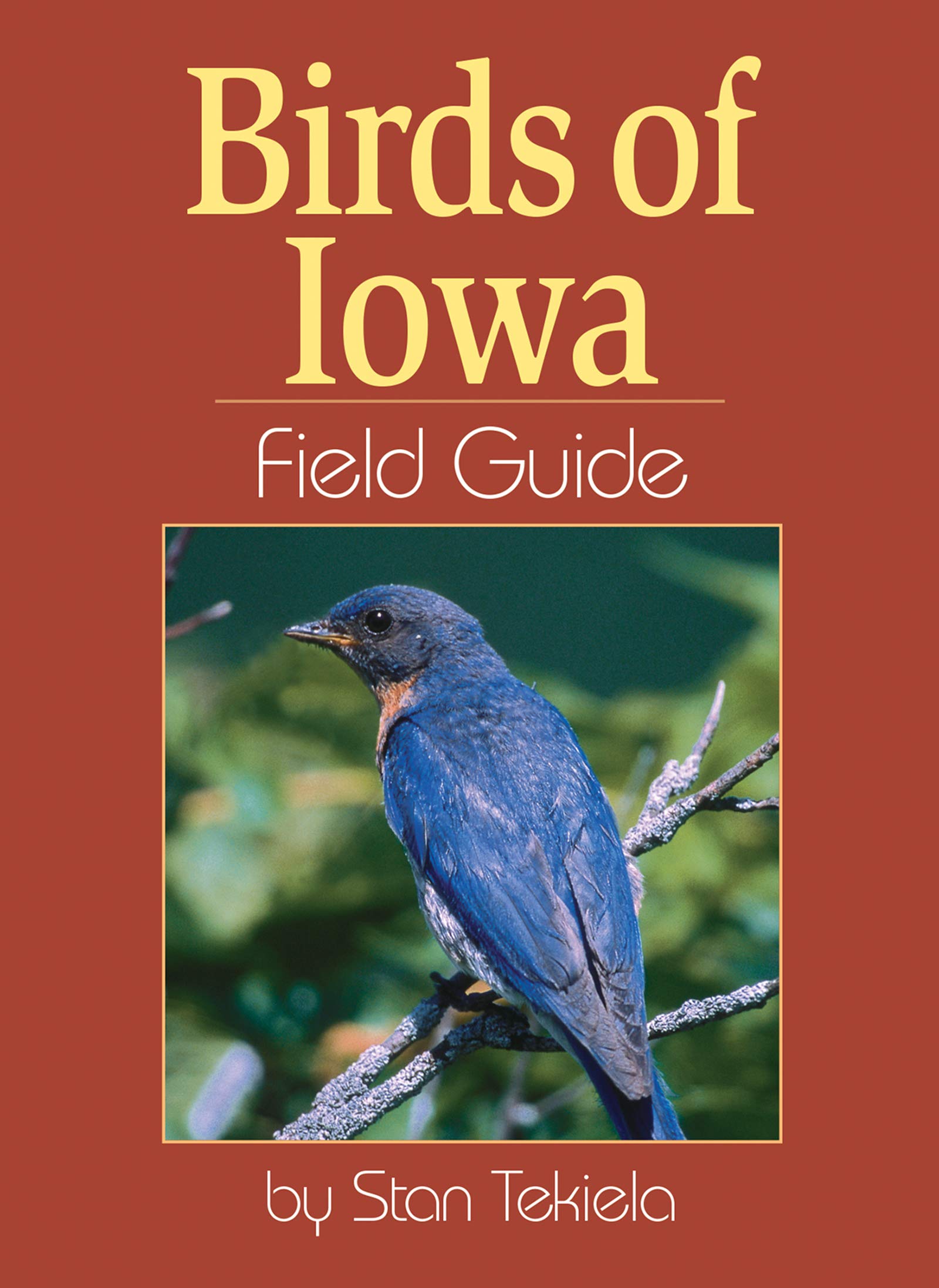Birds of Iowa Field Guide (Bird Identification Guides) Memories