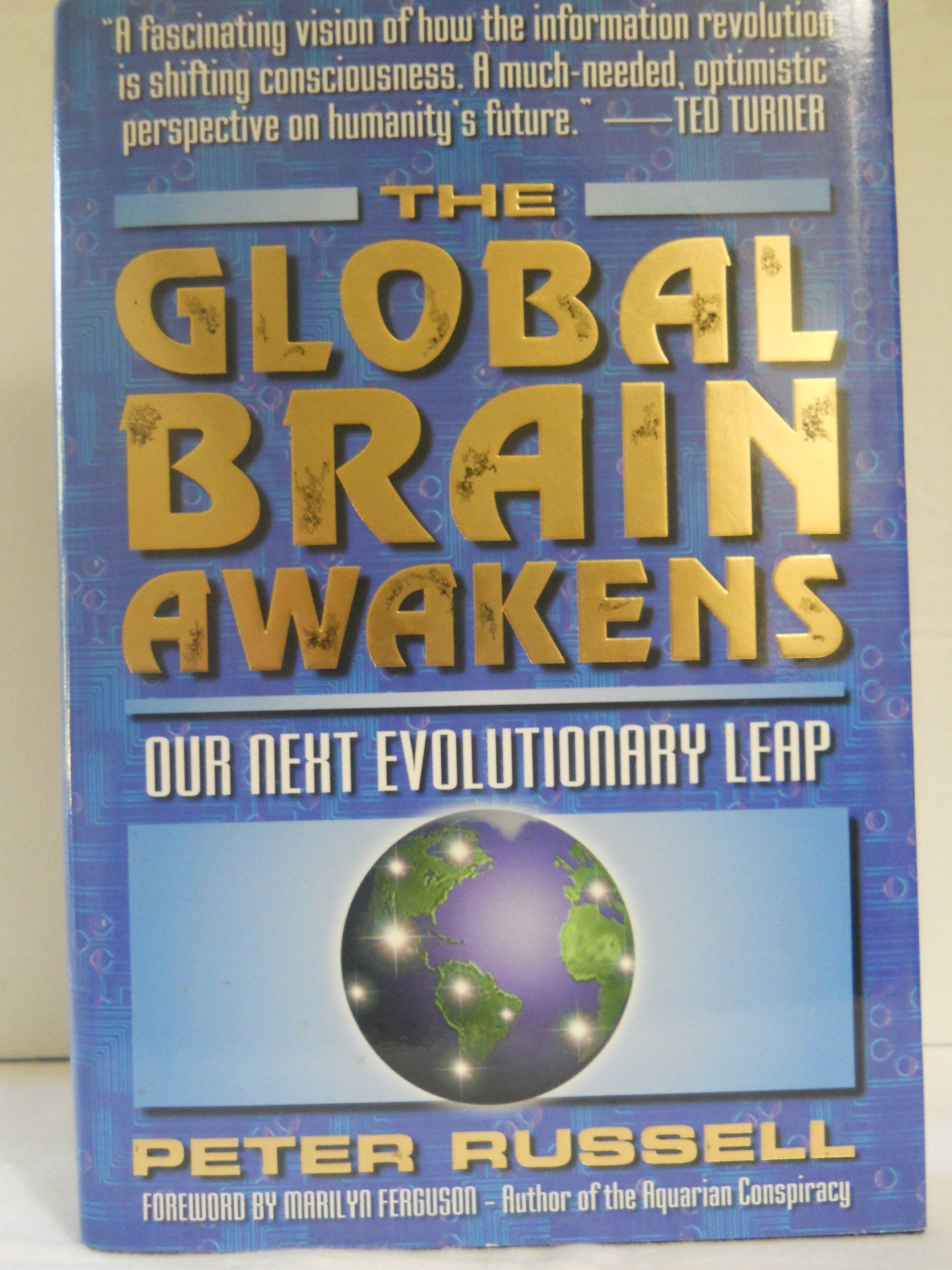 The Global Brain Awakens: Our Next Evolutionary Leap Business & Technology Books