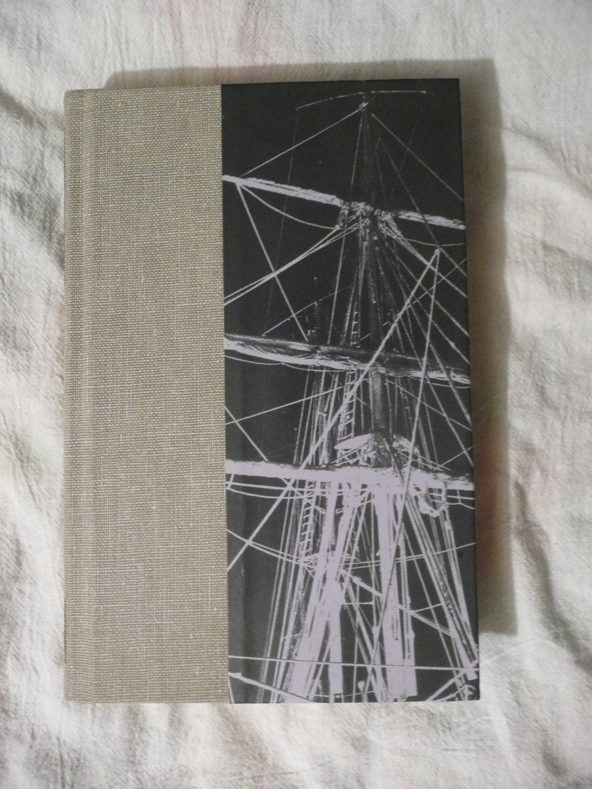Endurance : Shackleton's Incredible Voyage Politics & Society