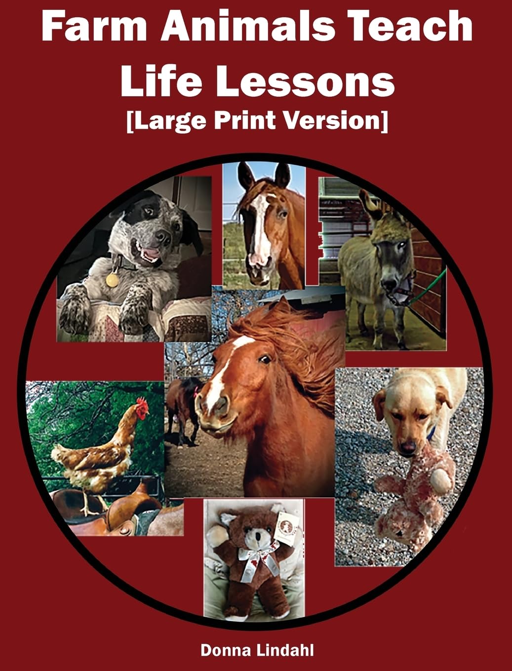 Farm Animals Teach Life Lessons Non-fiction