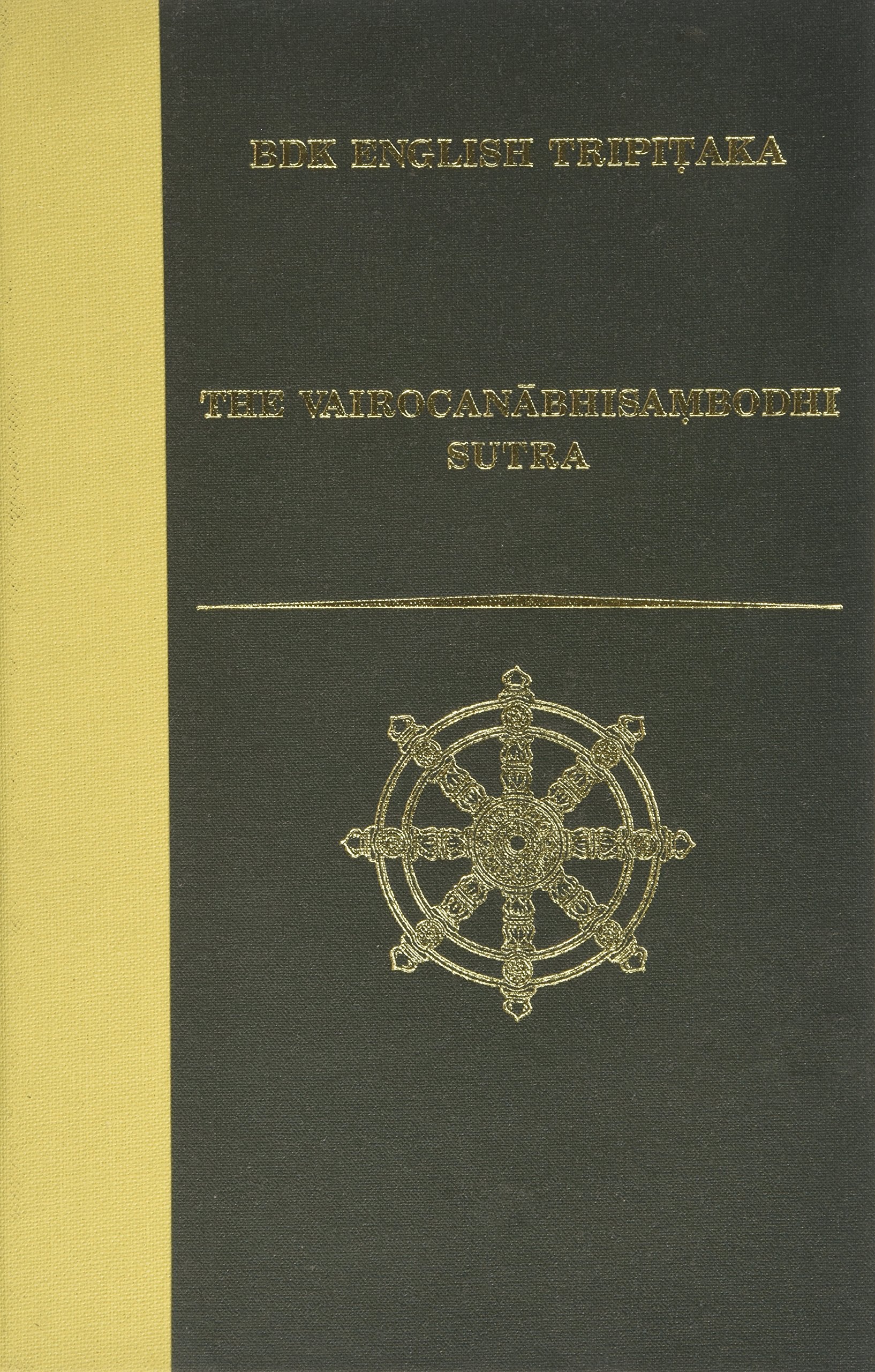 The Vairocanabhisambodhi Sutra book