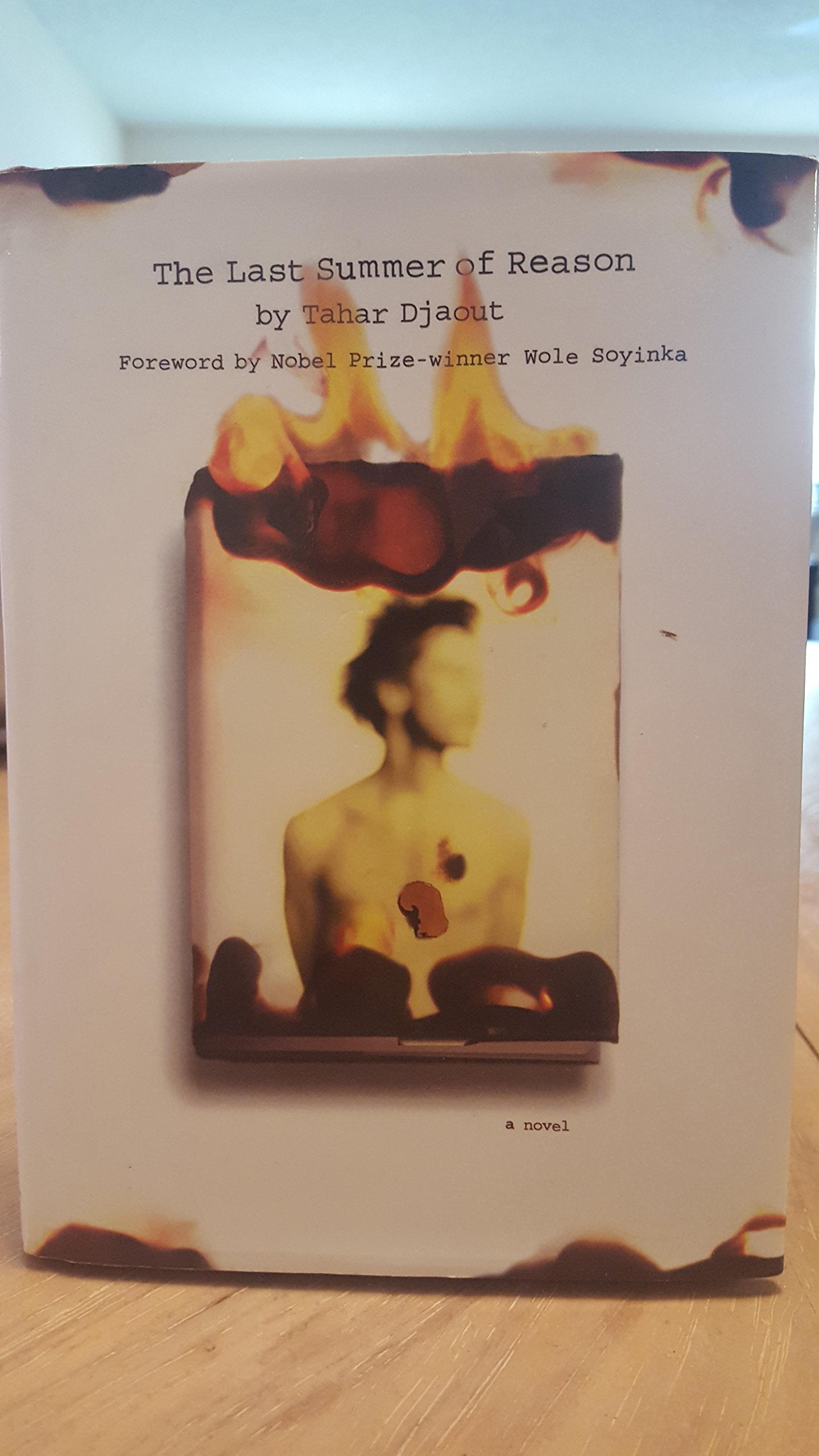 The Last Summer of Reason: A Novel Contemporary literature