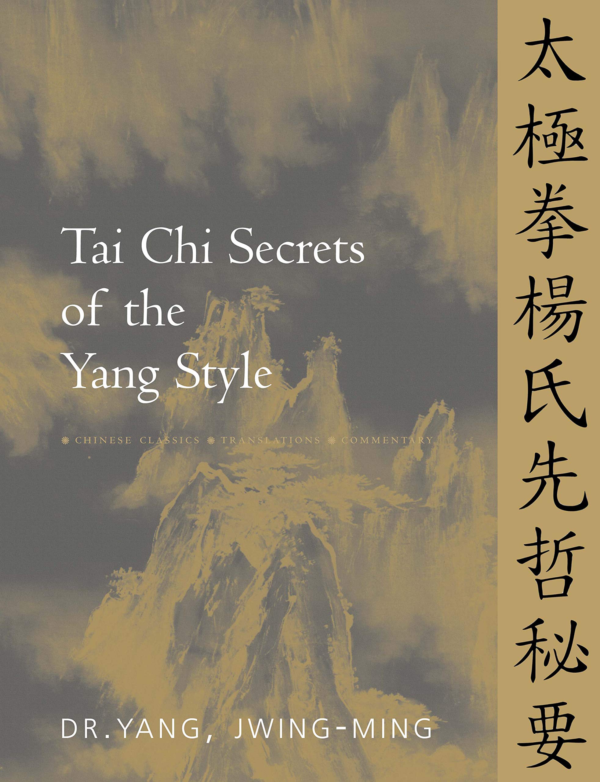 Tai CHI Secrets of the Yang Style book