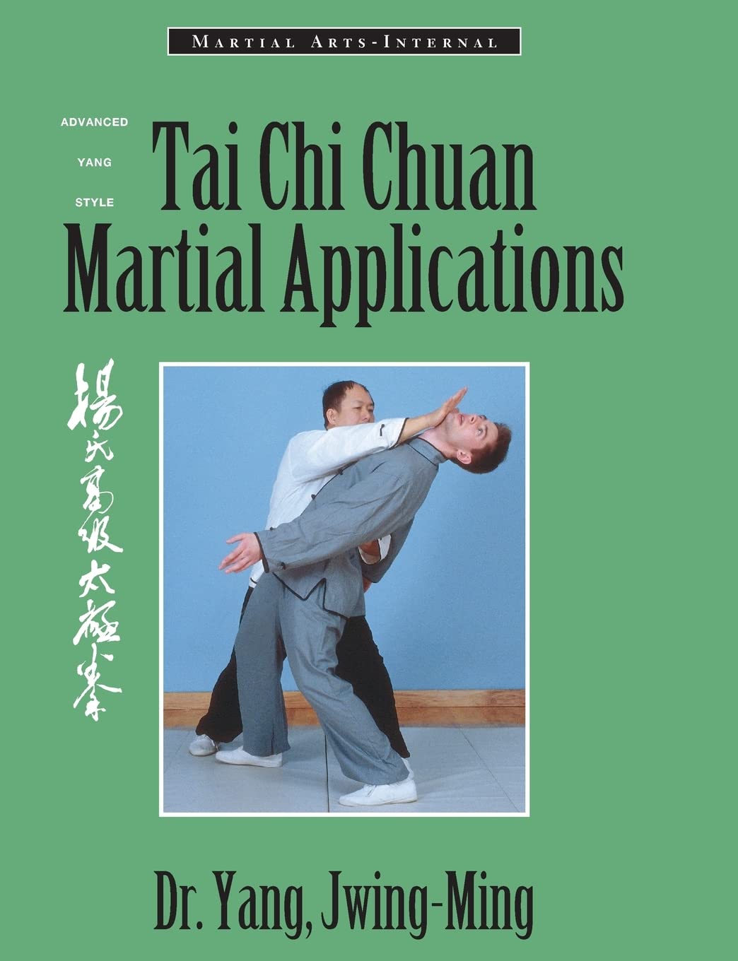 Tai Chi Chuan Martial Applications: Advanced Yang Style Tai Chi Chaun Leisure & Fun