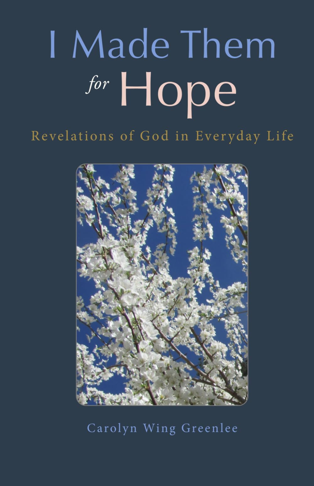 I Made Them for Hope: Revelations of God in Everyday Life Religion & Esotericism