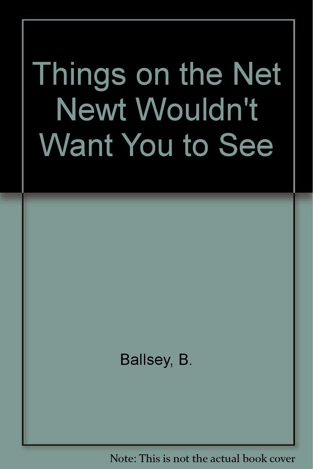 Things on the Net Newt Wouldn't Want You to See Books
