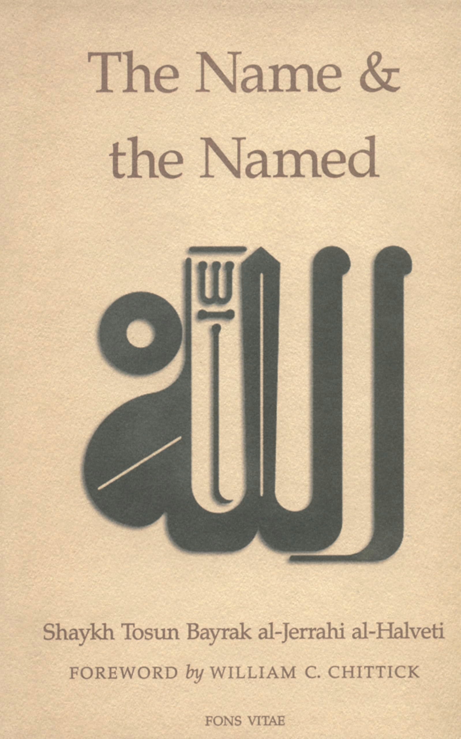 The Name and the Named book