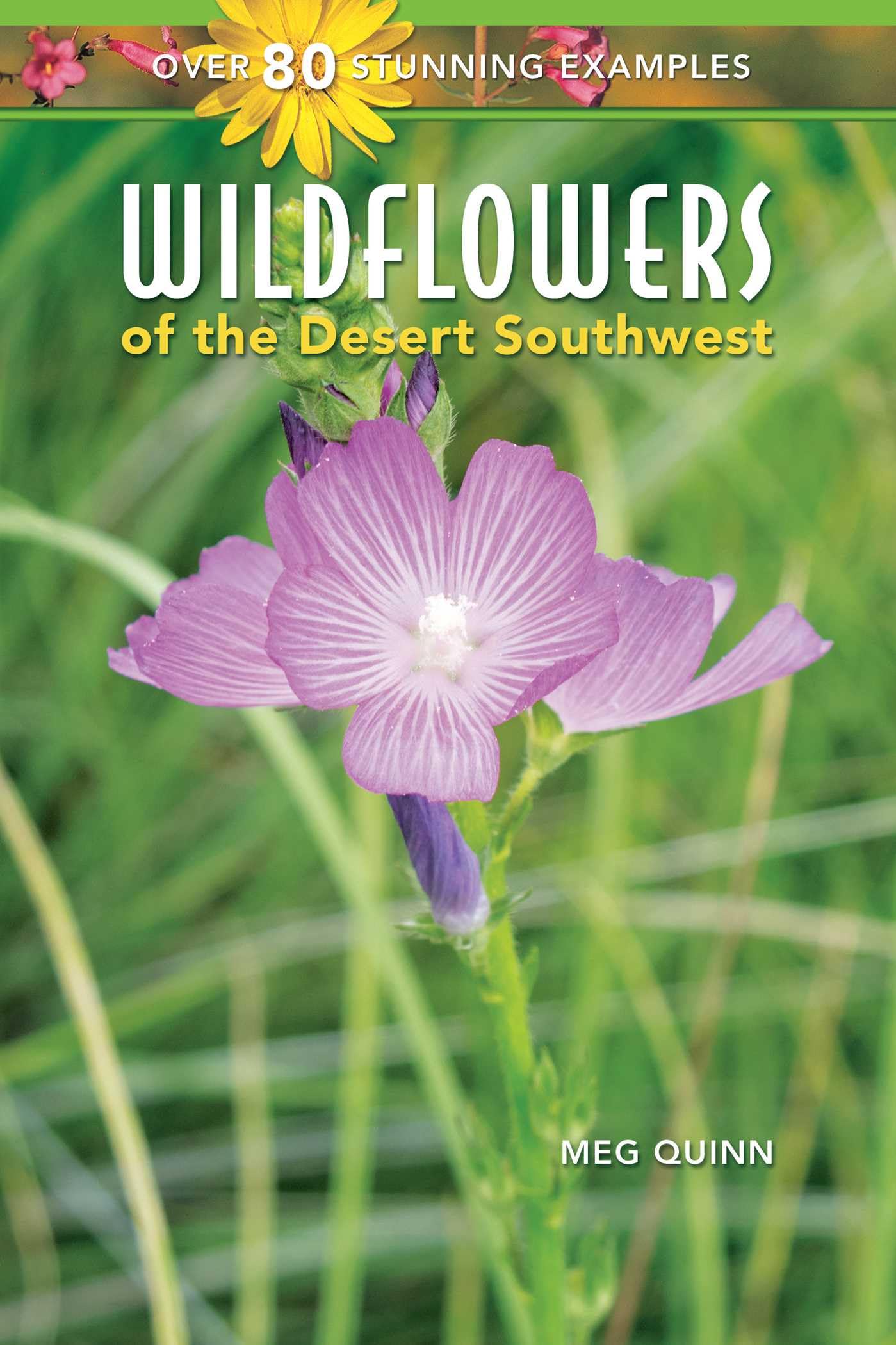 Wildflowers of the Desert Southwest Mathematics