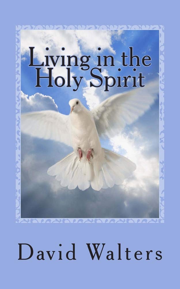 Living in the Holy Spirit: You have the Holy Spirit! Does the Holy Spirit have you? Religion & Esotericism