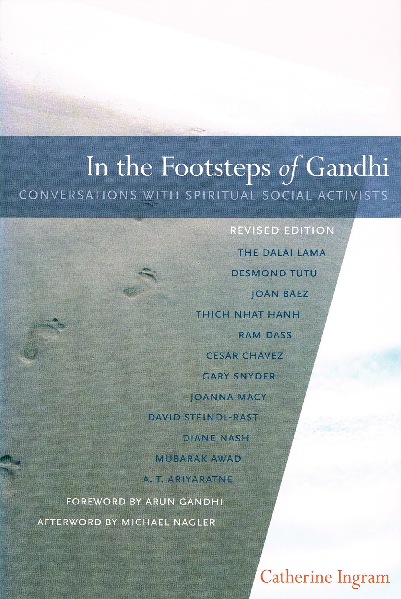 In the Footsteps of Gandhi: Conversations with Spiritual Social Activists Philosophy