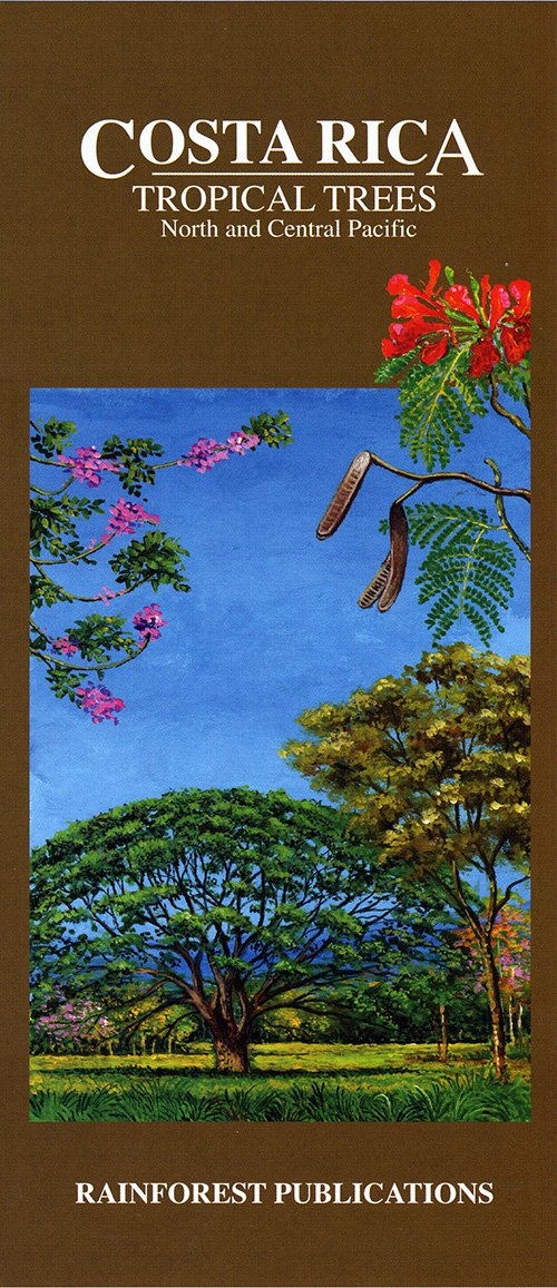 North and Central Pacific (Costa Rica: Tropical Trees) Mathematics