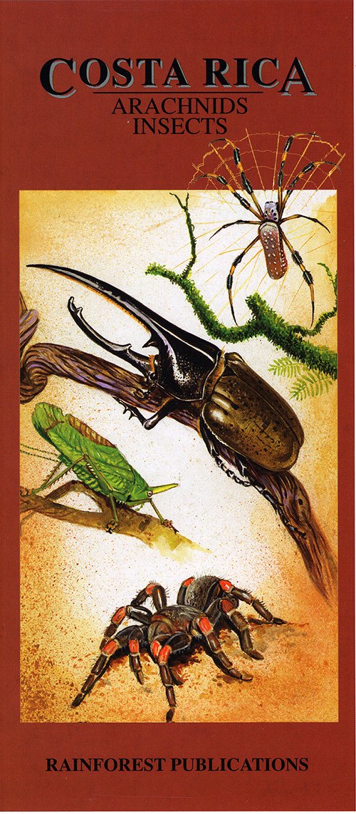 Costa Rica: Arachnids Insects Natural Sciences