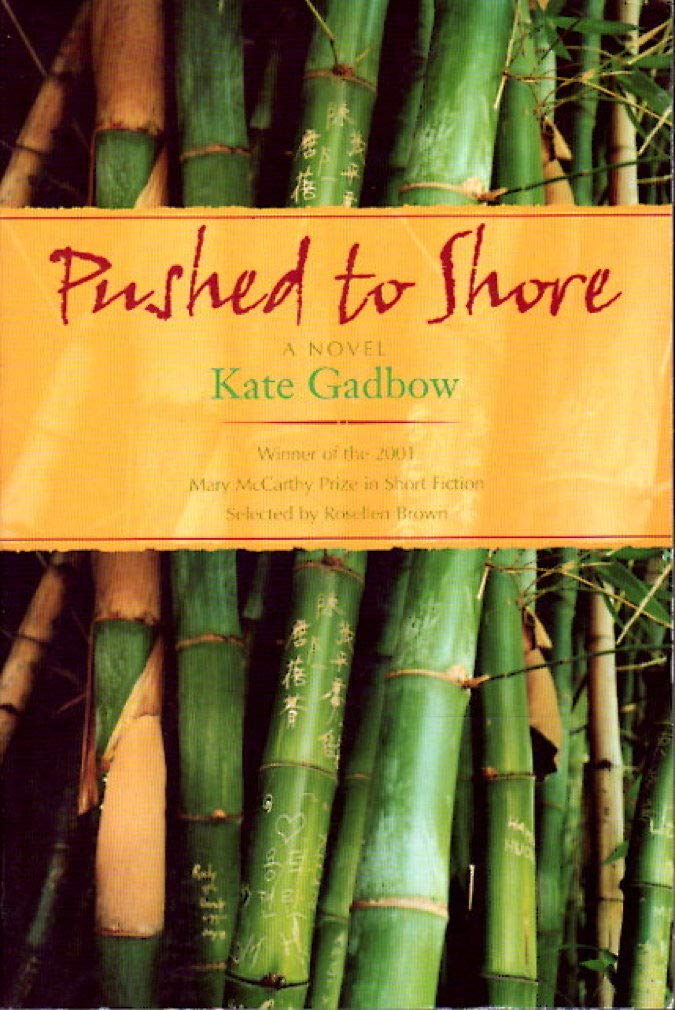 Pushed to Shore Social Sciences Books