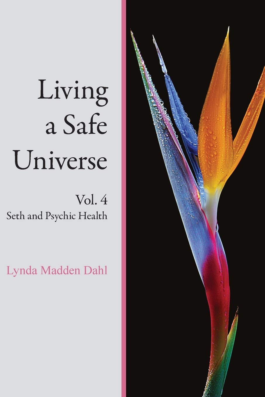 Living a Safe Universe, Vol. 4: Seth and Psychic Health Religion & Esotericism