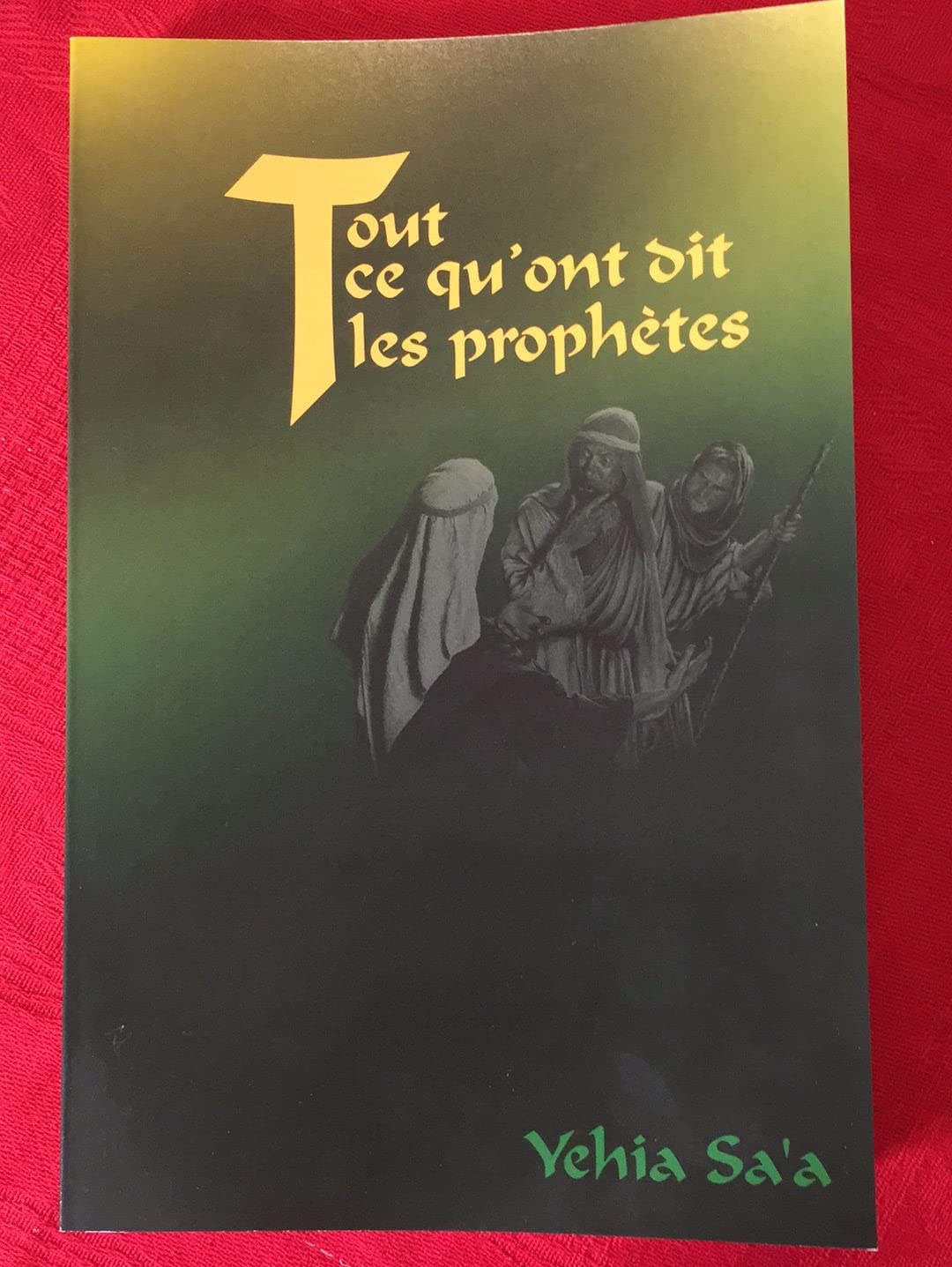 Tout Ce Qu'ont Dit les Prophetes Books