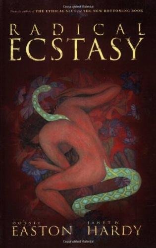 Radical Ecstasy: SM Journeys to Transcendence book