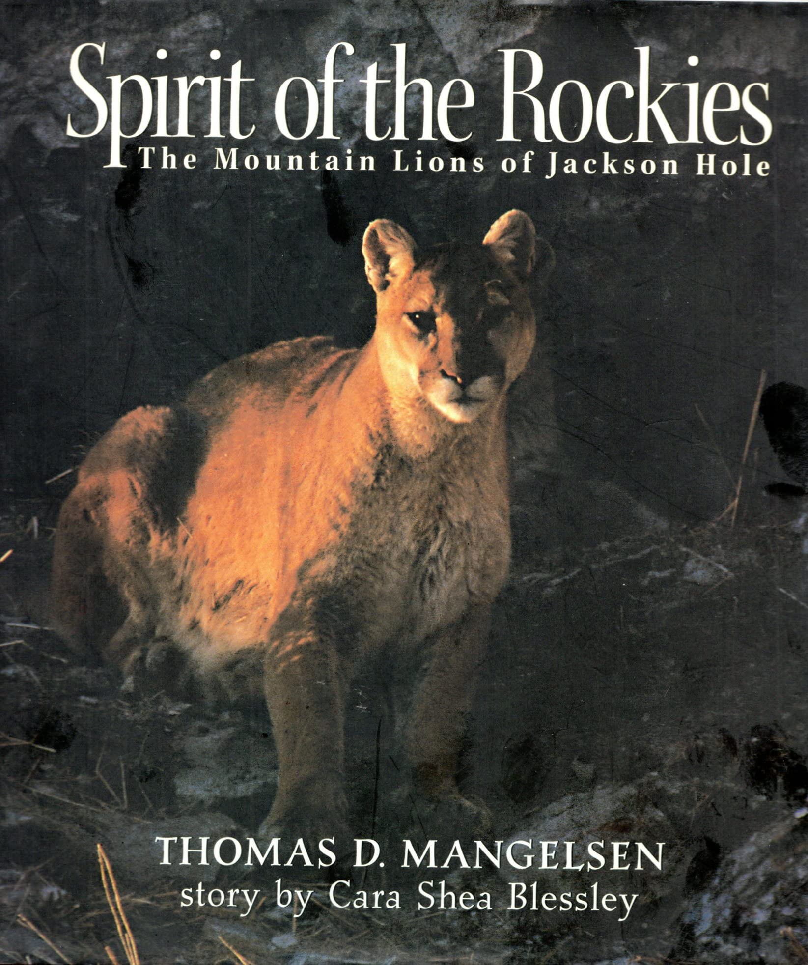 Spirit of the Rockies: The Mountain Lions of Jackson Hole Geology & Geography