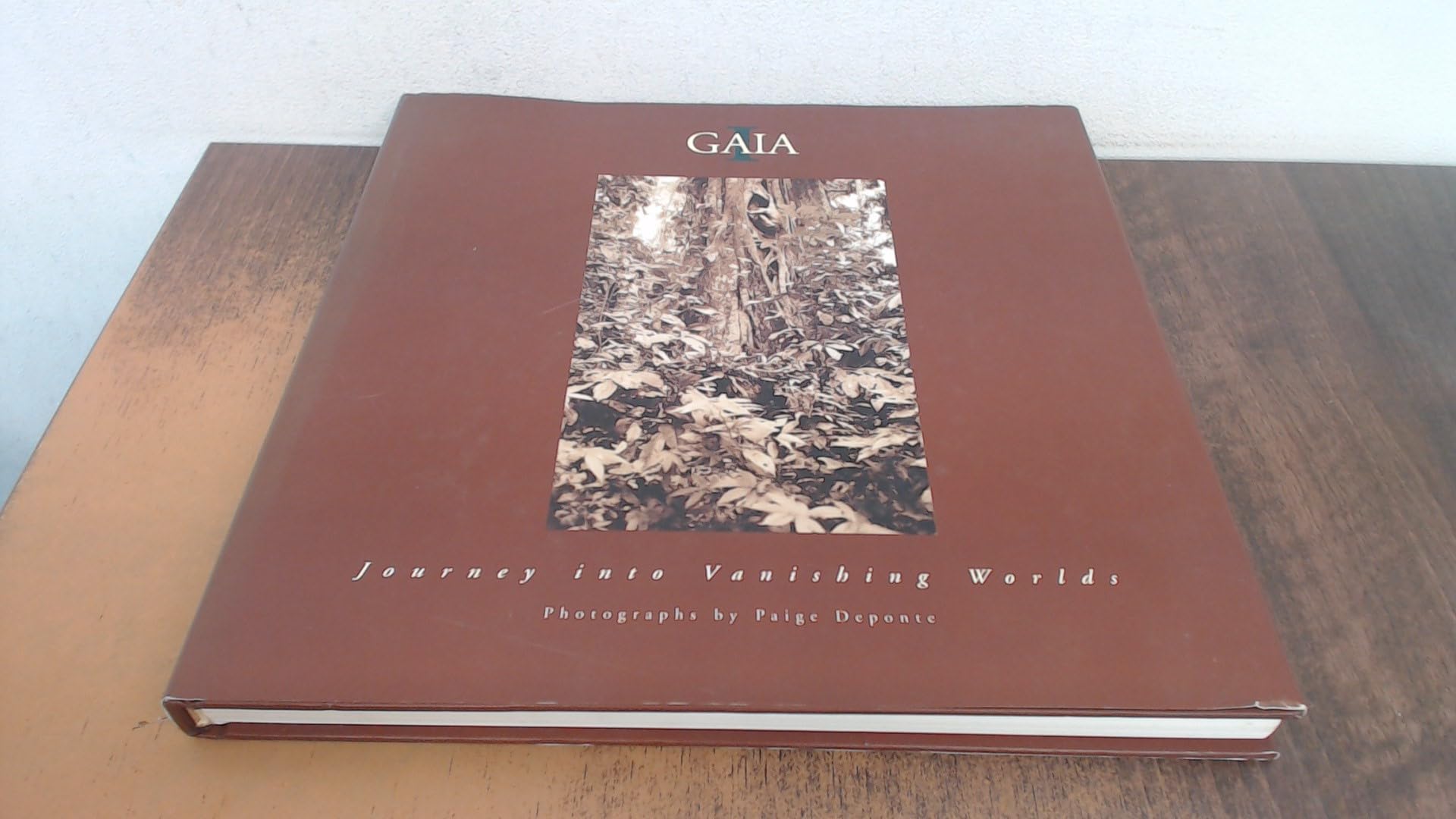 Gaia I: Journey into Vanishing Worlds Mathematics