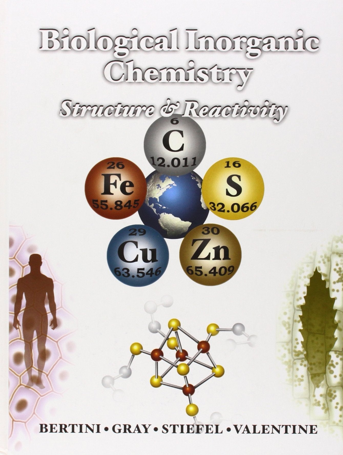 Biological Inorganic Chemistry: structure and reactivity book