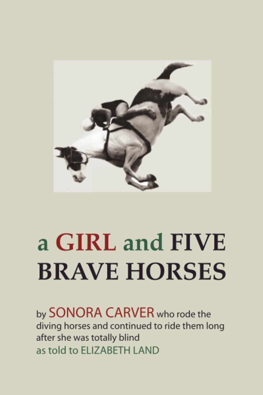 A Girl and Five Brave Horses book