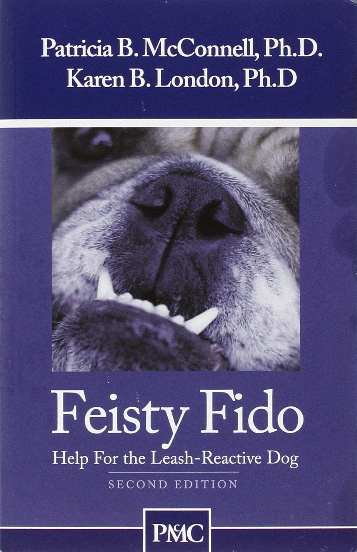 Feisty Fido: Help for the Leash Aggressive Dog Pets